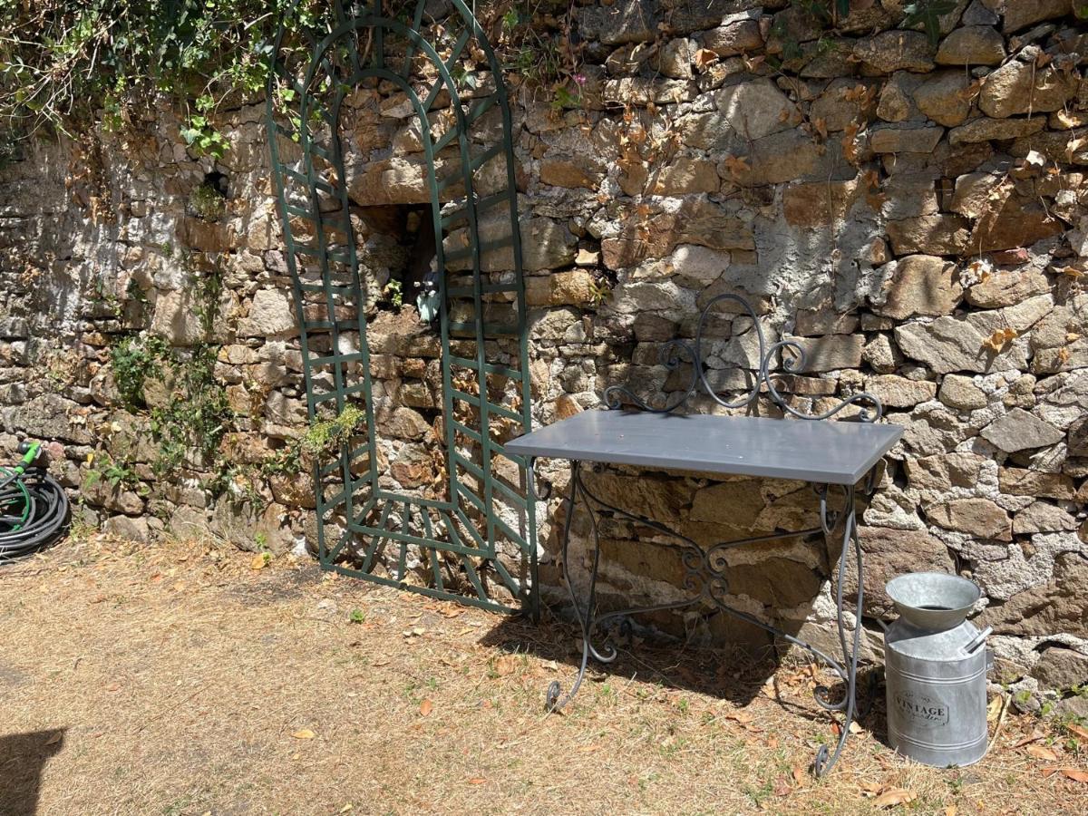 Le Patio, Coeur De Ville Avec Garage Et Jardin Vannes Luaran gambar